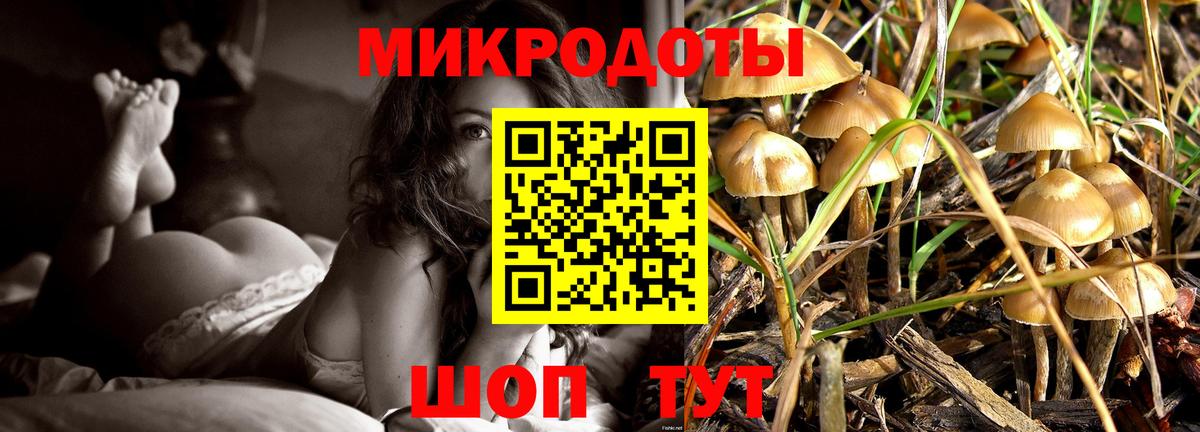 хочу наркоту  Псилоцибиновые грибы Cubensis  Вход с VPN  Ульяновск 